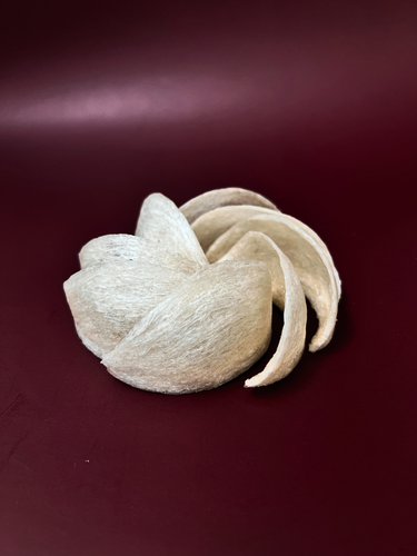How Bird Nest Supports a Healthy Lifestyle: A Superfood for All Ages
